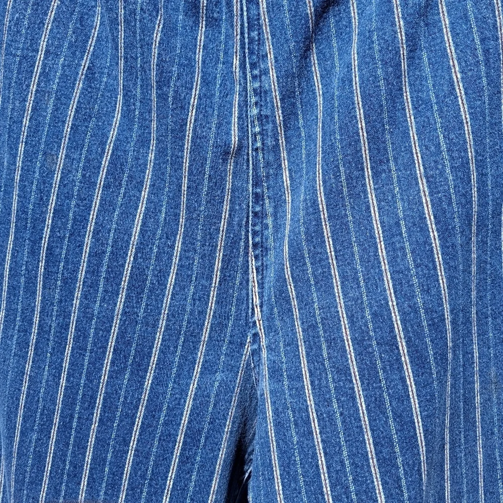 MetroStyle Blue & White Pinstripe Pull-On Comfy Cotton Pants  Women Size Large